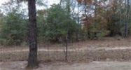 LOT 2 BLOCK H HORSESHOE BENDKENNESAW GAP Ozark, AL 36360 - Image 4564242