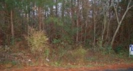 0 LEE RD 2040 Phenix City, AL 36870 - Image 4568663