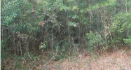 5816 ELIZABETH WASHINGTON LN Ravenel, SC 29470 - Image 4574887