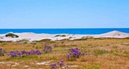 30732 Broad Beach Ln Malibu, CA 90265 - Image 4622854