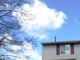 100 Shallowood Cir Cranberry Twp, PA 16066 - Image 4655067