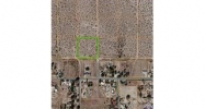 172nd St E &amp; Ave N Lancaster, CA 93535 - Image 4675966