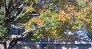 4625 Pinehurst Grand Rapids, MI 49548 - Image 4696294