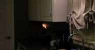 10 greybeech dr. Bloomingburg, NY 12721 - Image 4706753