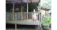 530 Etowah Trail Dahlonega, GA 30533 - Image 4710050