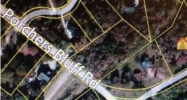 1382 PORCHERS BLUFF RD Mount Pleasant, SC 29466 - Image 4776078