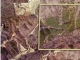CR 754 Tellico Plains, TN 37385 - Image 4785138