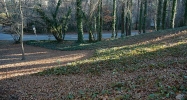 1184 Aurora Court Ne Atlanta, GA 30338 - Image 4809945