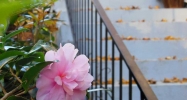 792 Gresham Avenue Se Atlanta, GA 30316 - Image 4827680