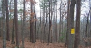 22/9 Mariposa11 Trenza Lane Hot Springs Village, AR 71909 - Image 4900354