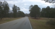 8.75 acres Judge Brown Road Valley, AL 36854 - Image 4981226