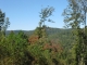 575 Orme Mountain Rd South Pittsburg, TN 37380 - Image 5067161