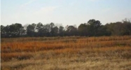 299 GRANDE DRIVE Albertville, AL 35950 - Image 5074070