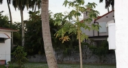 13030 NE 4 AV Miami, FL 33161 - Image 5098850