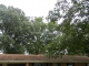 902 S Van Buren St Carthage, MS 39051 - Image 5131382
