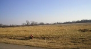 Sewell Road Lot 12 Athens, AL 35611 - Image 5146061