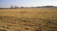 Sewell Road Lot 9 Athens, AL 35611 - Image 5146065