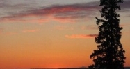 4609 Sydney Park Circle Anchorage, AK 99516 - Image 5149123