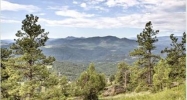 1030 Twisted Pine Road Golden, CO 80401 - Image 5200834