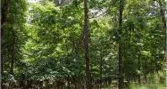 121 Cherokee Drive S Waleska, GA 30183 - Image 5206330