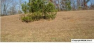 Lot 9 Chula Vista Ridge Drive Decatur, AL 35603 - Image 5212061