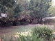 6215 Flores Ave Los Angeles, CA 90056 - Image 5242672