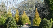 1135 Cold Harbor Drive Roswell, GA 30075 - Image 5247411