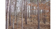 1314 Barefoot Road Blairsville, GA 30512 - Image 5358892