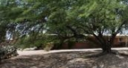 6438 E Paseo San Ciro Tucson, AZ 85710 - Image 5376772