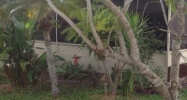1 Sunrise Blvd Naples, FL 34110 - Image 5401772