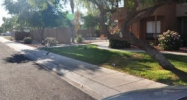 11640 N 51ST Avenue Glendale, AZ 85304 - Image 5403659