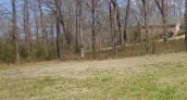 0 Graham Ave., Tuscumbia, 35674 Tuscumbia, AL 35674 - Image 5426292