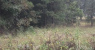 Co Rd 220, Lanett,Co Rd 220, Lanett, 36863 Lanett, AL 36863 - Image 5437877