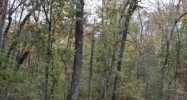 0 Shelton Shores Talladega, AL 35160 - Image 5440730