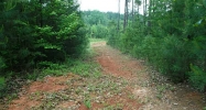 4 Pickens Point Drive Elberton, GA 30635 - Image 5454082