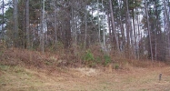 150 Bear Court Ball Ground, GA 30107 - Image 5571382