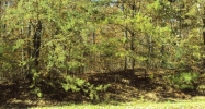75 Cove Creek Rd Florence, AL 35634 - Image 5587301