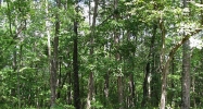 0 Lower Dowda Mill Road Jasper, GA 30143 - Image 5596066