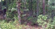 25/2 Salas2 Mesero Way Hot Springs Village, AR 71909 - Image 5614388