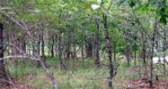 6/2 Ladera31 Altiplano Cr Hot Springs Village, AR 71909 - Image 5614393