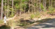 31 Largo Dr Hot Springs Village, AR 71909 - Image 5614401