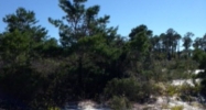 0 Highway 180 Gulf Shores, AL 36542 - Image 5651738