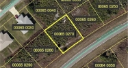 837 S Alabama RD Lehigh Acres, FL 33974 - Image 5718412