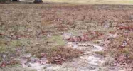 Lot 5 country Club Rd Hope, AR 71801 - Image 5722804
