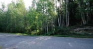 nhn Hillside Drive, Lot 1 Fairbanks, AK 99709 - Image 5804789