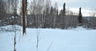 2120 Charlijo Loop Fairbanks, AK 99709 - Image 5804793