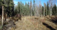 2198 Riesling Court North Pole, AK 99705 - Image 5804838