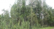 1275 Baguette Drive North Pole, AK 99705 - Image 5804850