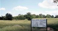 LOT 3 HILL HOME ESTATES Paragould, AR 72450 - Image 5839130
