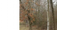2911 Flint Hill Road Powder Springs, GA 30127 - Image 5851149